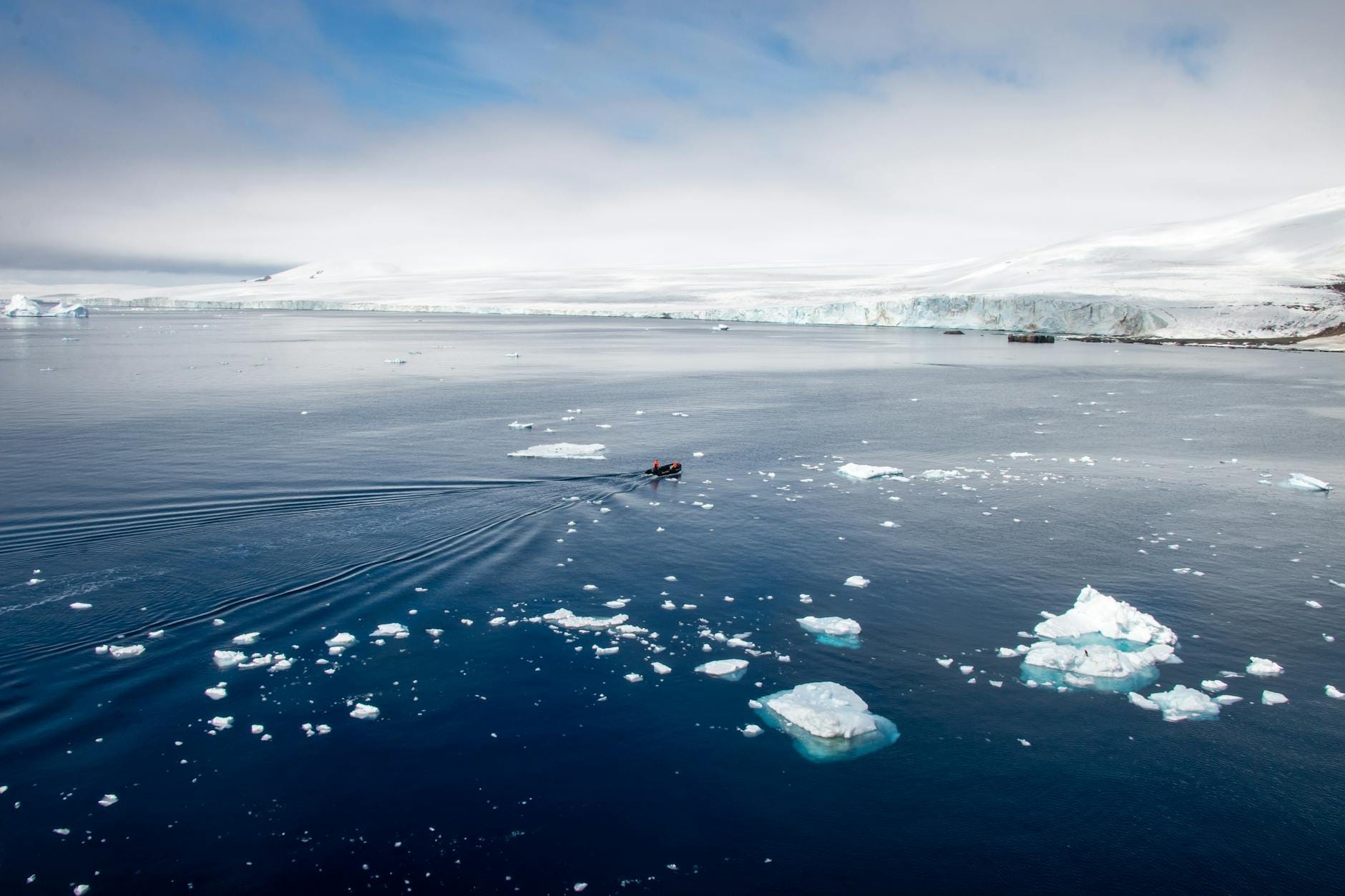 Spokojne morze Antarktydy z dryfującymi górami lodowymi i ośnieżonym brzegiem